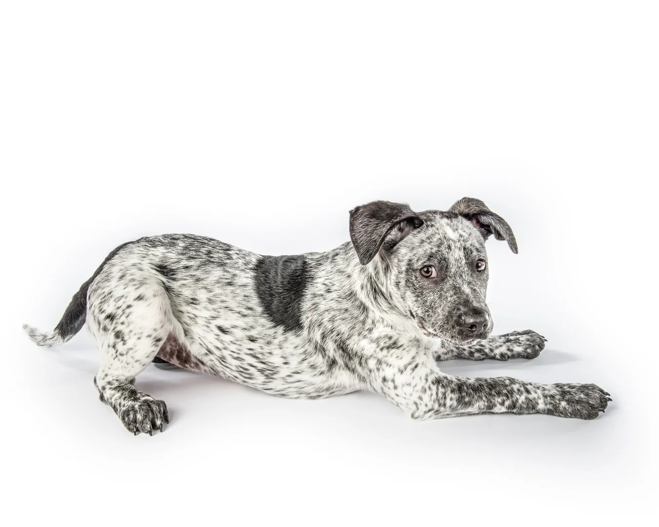 20150104-1230-Edit-Edit.jpg