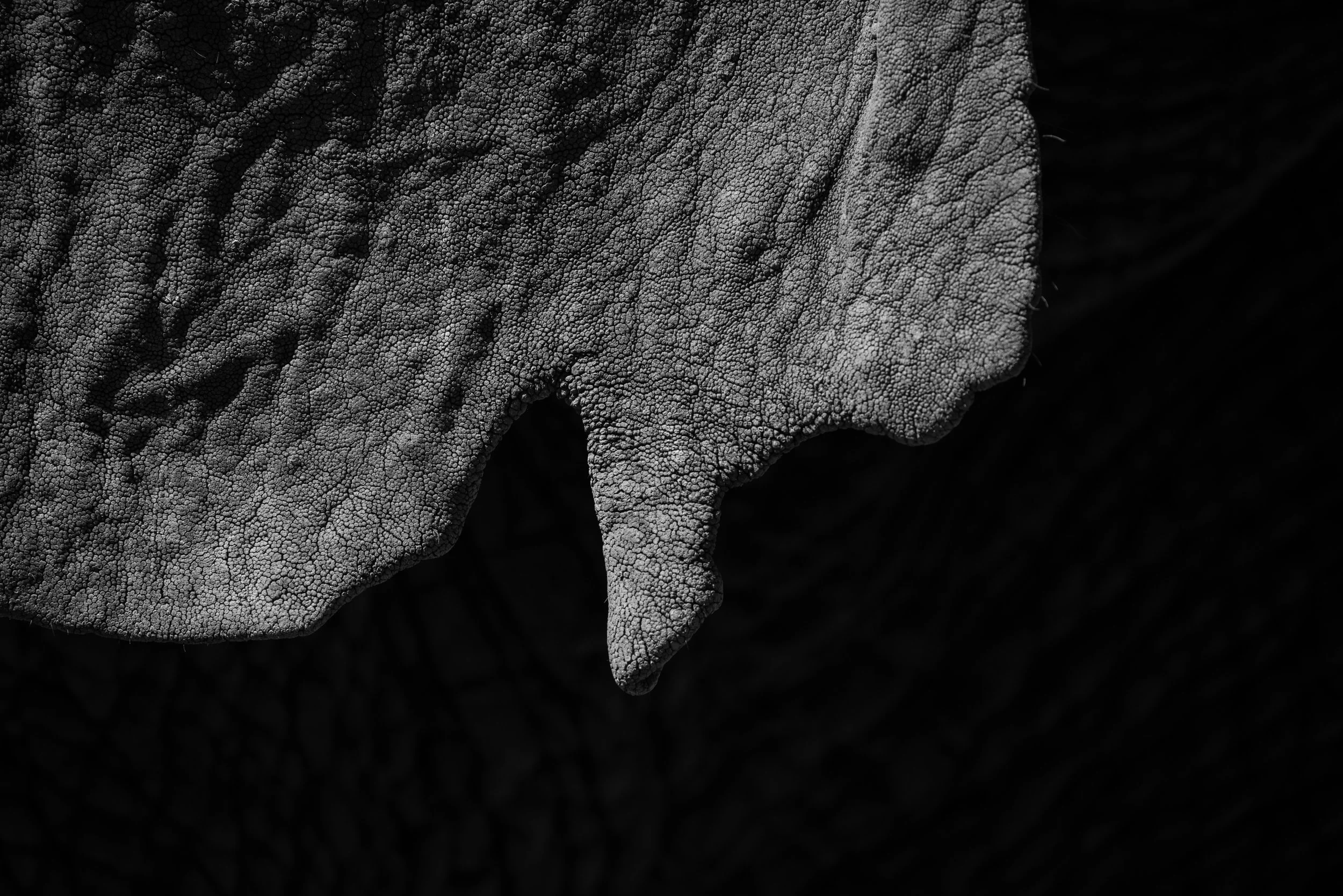 Landscape-1.jpg