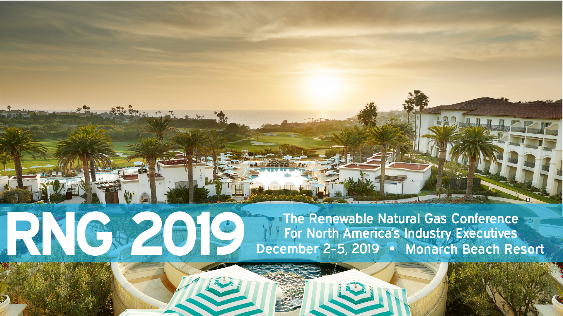 Web Banner - RNG 2019 Conference.jpg
