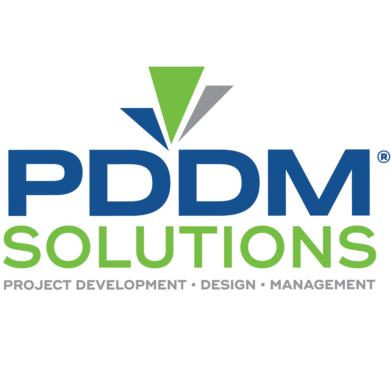 PDDM Solutions FB logo.png