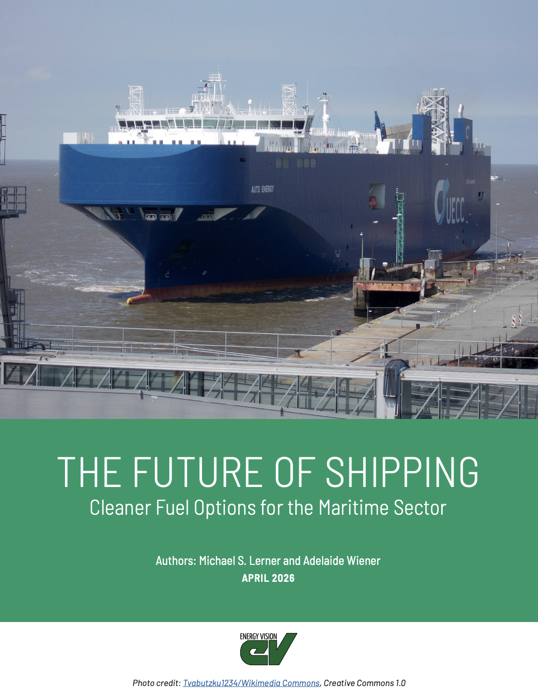 The Future of Shipping - Cleaner Fuel Options for the Maritime Sector