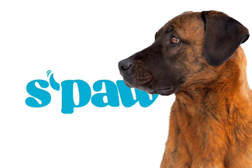 SPAW-ID-DogMock.jpg
