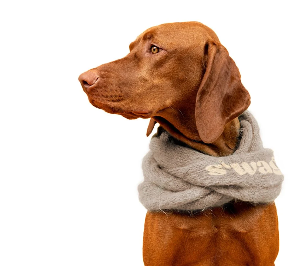 SWAG-DogMock.jpg