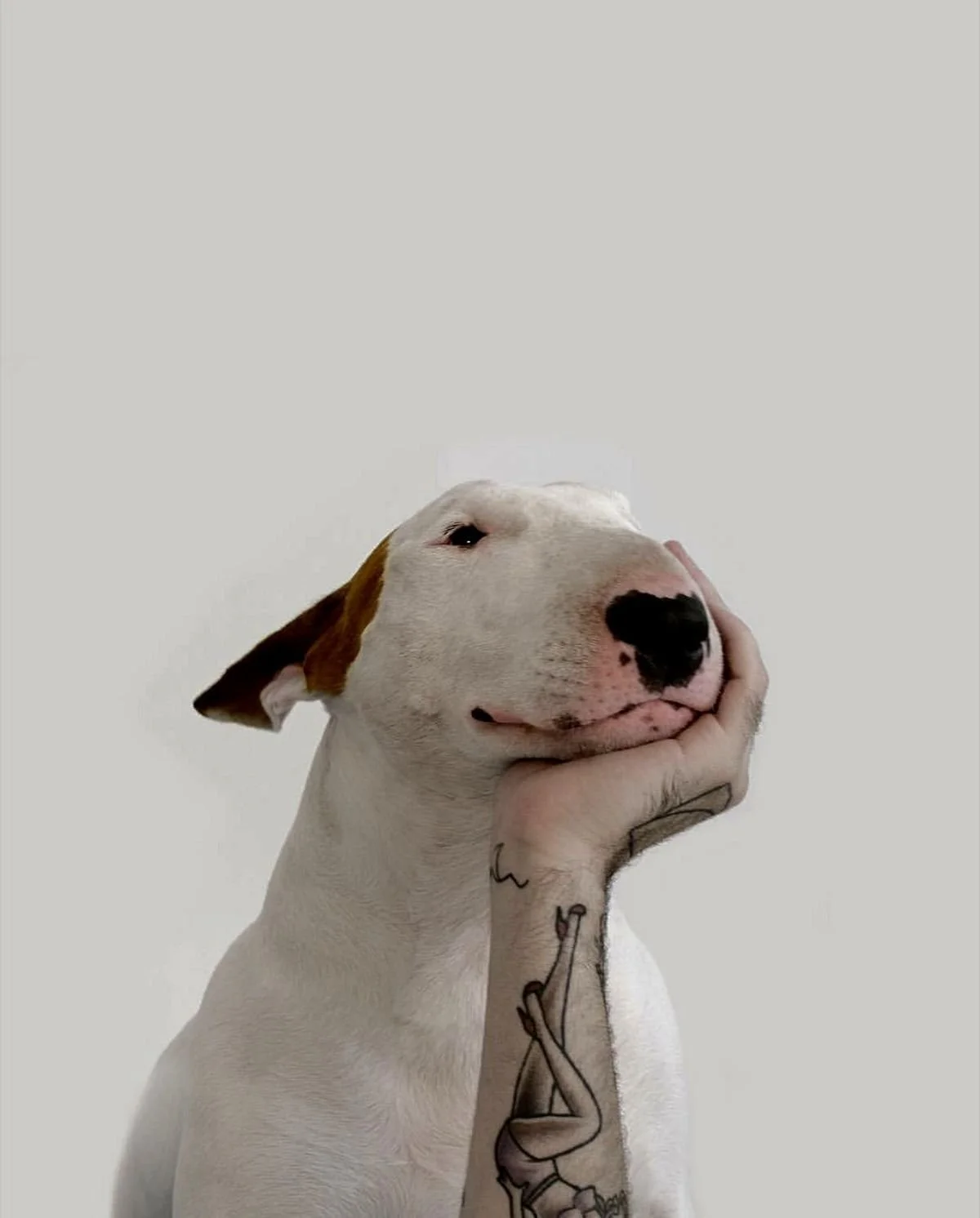 S'PAW + S'WAG