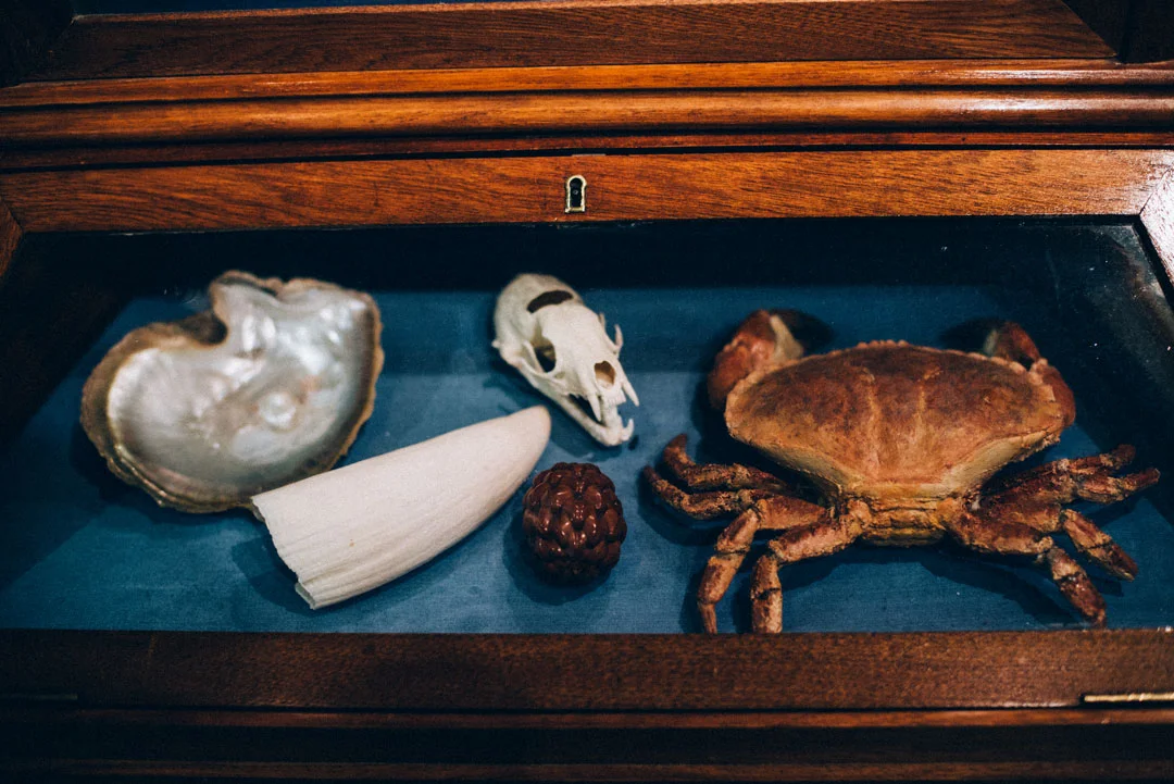 Naturhistoriska_JeanetteSeflin06.jpg