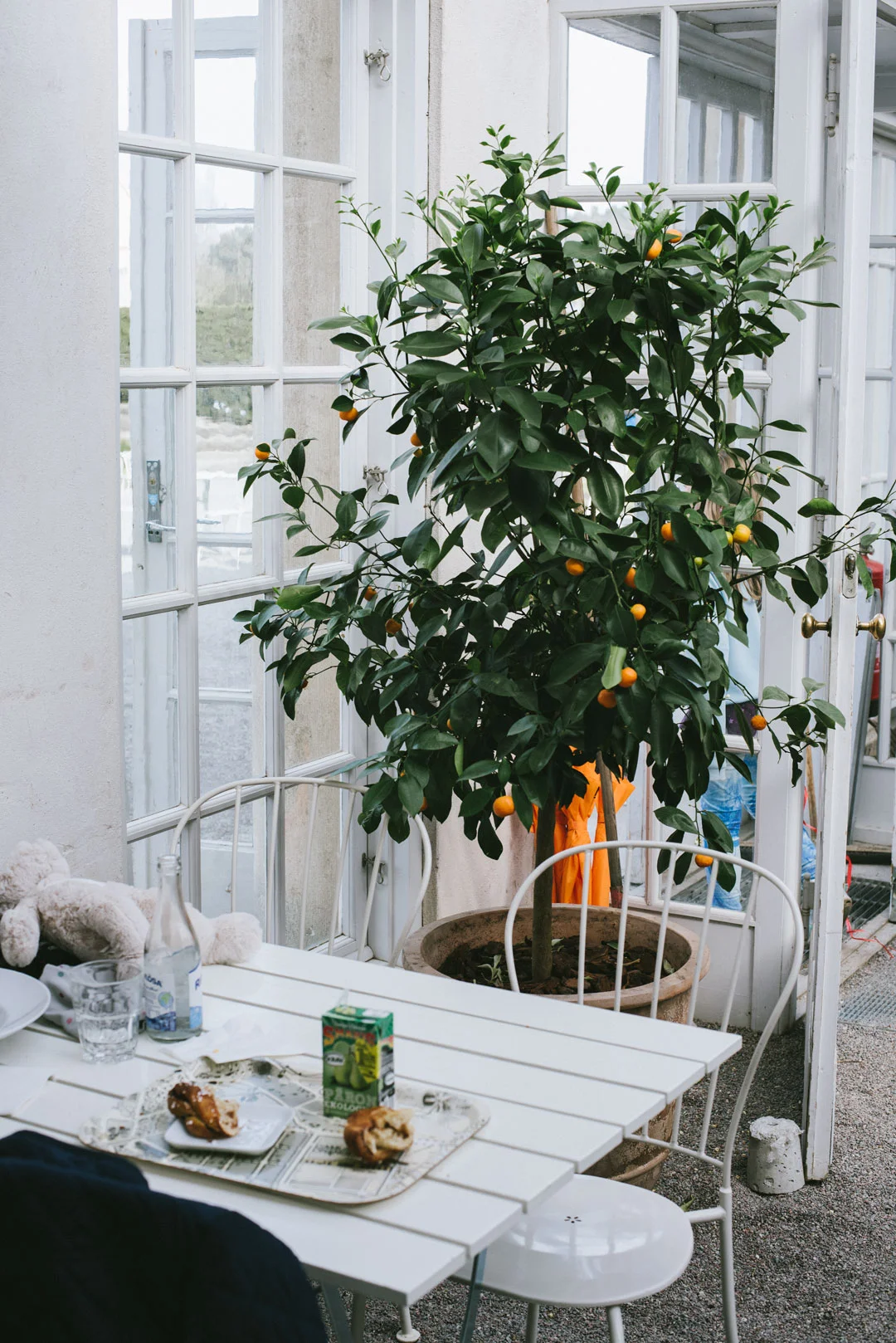 Gamla Orangeriet café och restaurang i Bergianska trädgården