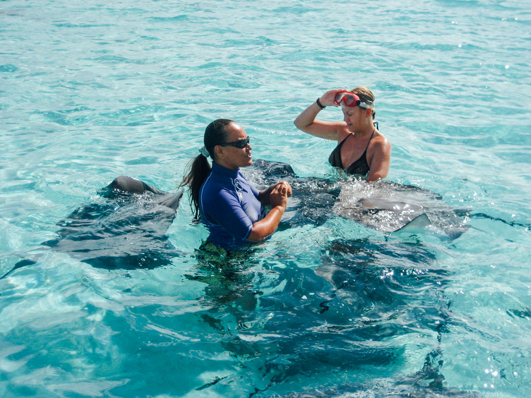 snorkla på moorea island franska polynesien