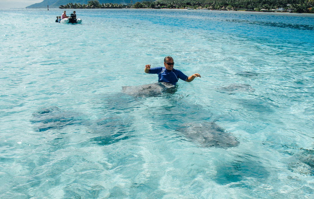 snorkla tahiti moorea island franska polynesien
