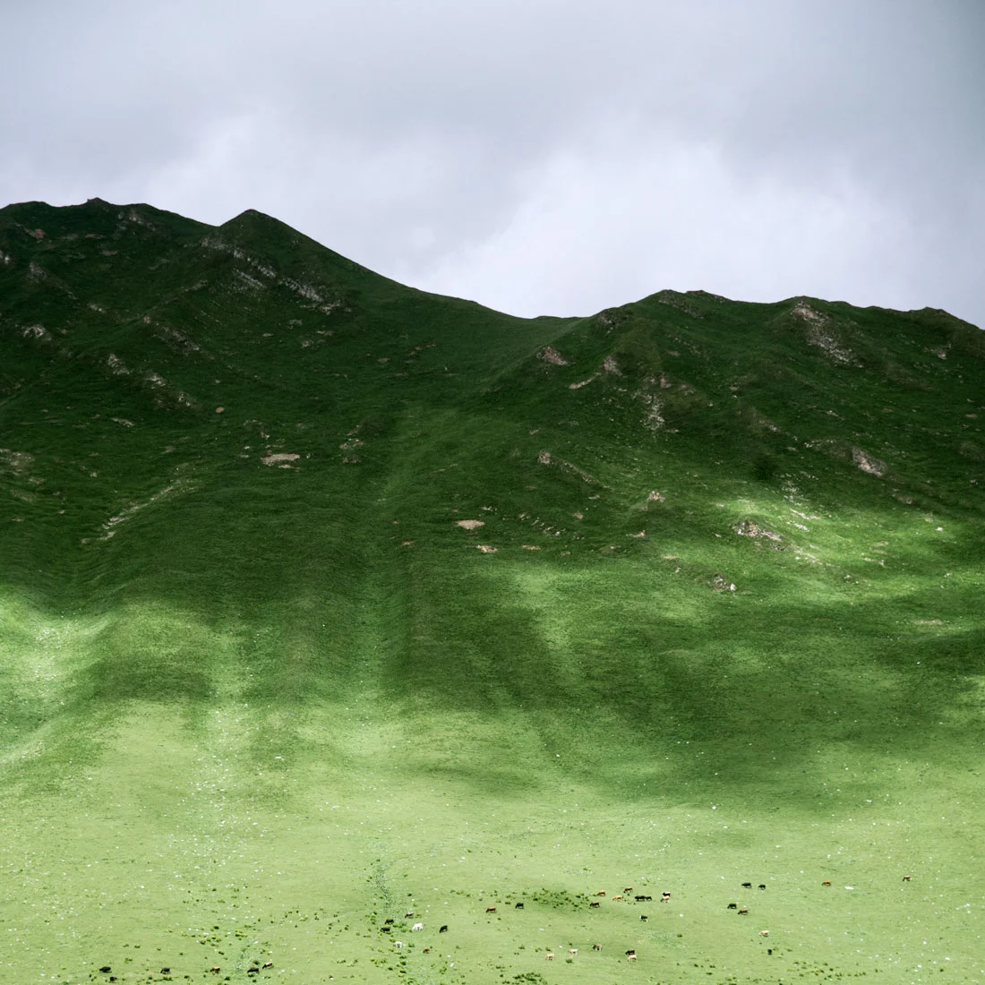 kazbegi-georgien.jpg