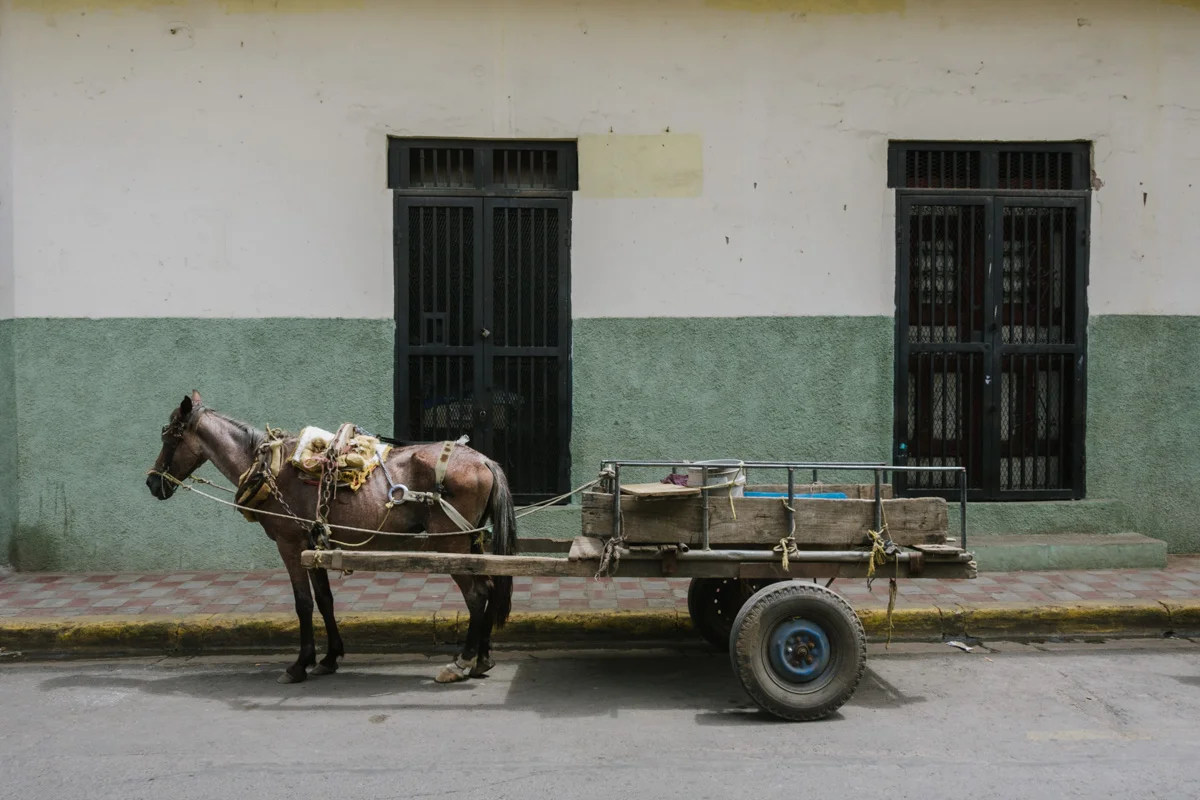Häst med vagn i Granada Nicaragua