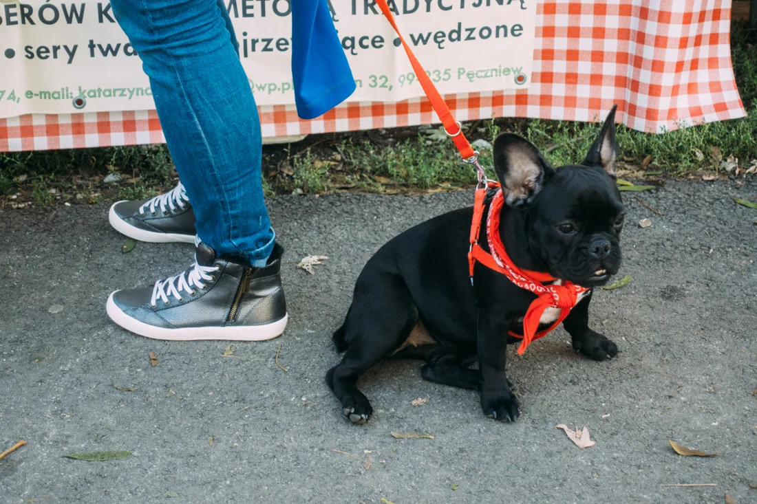 Guide med tips på bra restauranger och caféer i Warszawa, besök breakfast market och ät din lunch som picknick