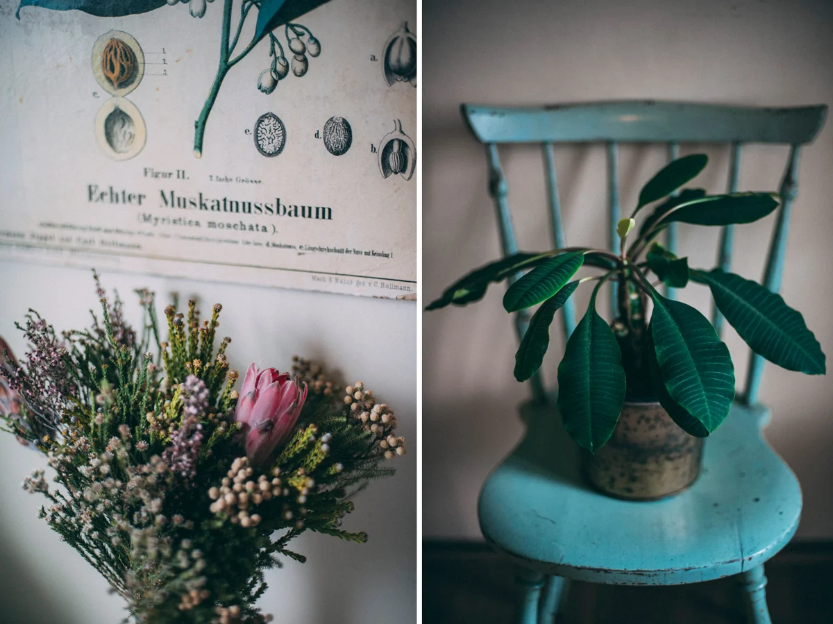 inredning med växter på kontor fotograf stockholm
