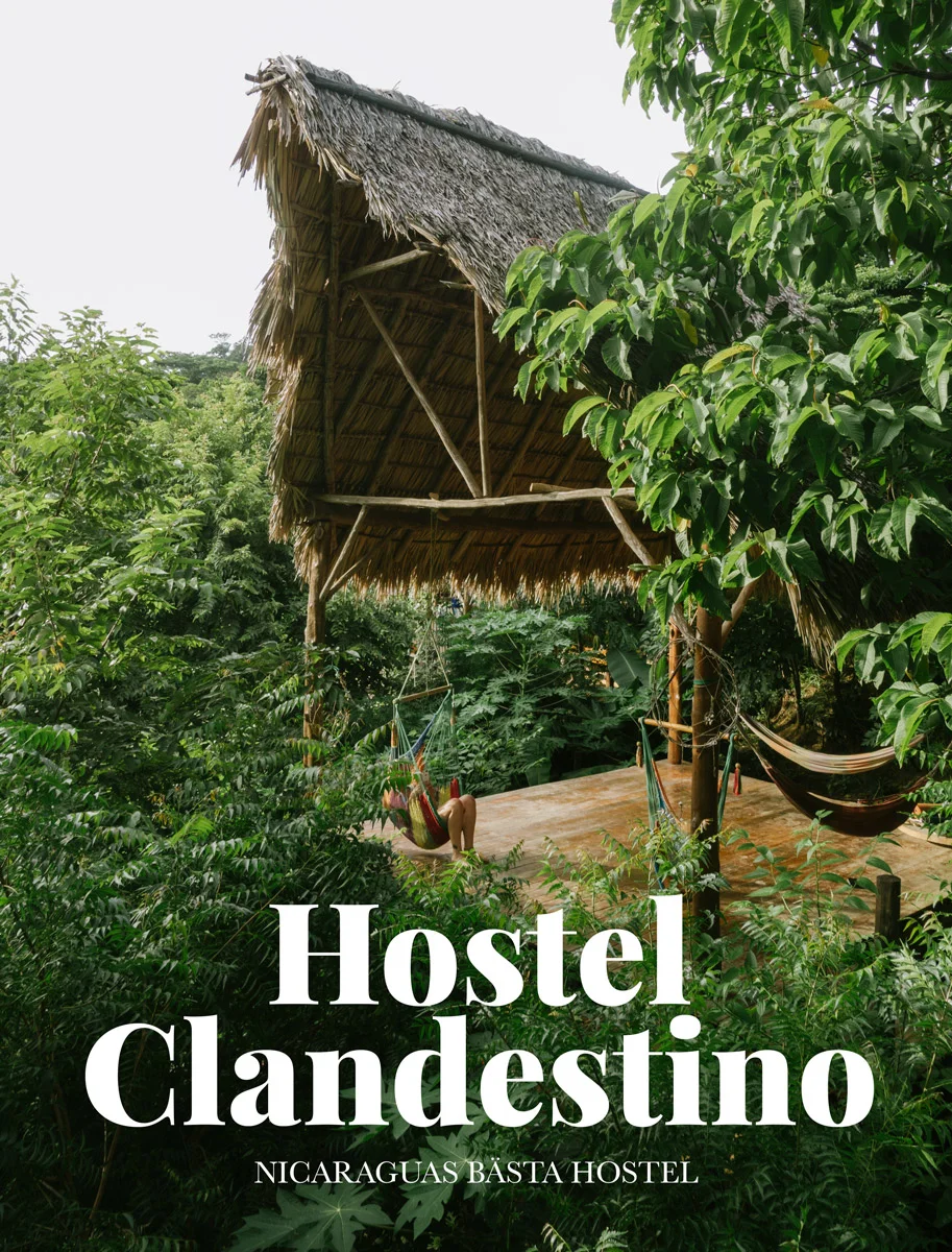 Hostel Clandestino nicaraguas bästa hostel på playa maderas