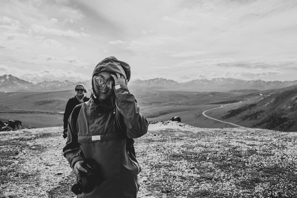Vandra vandringsleden Savage Alpine trail i Denali national park i Alaska