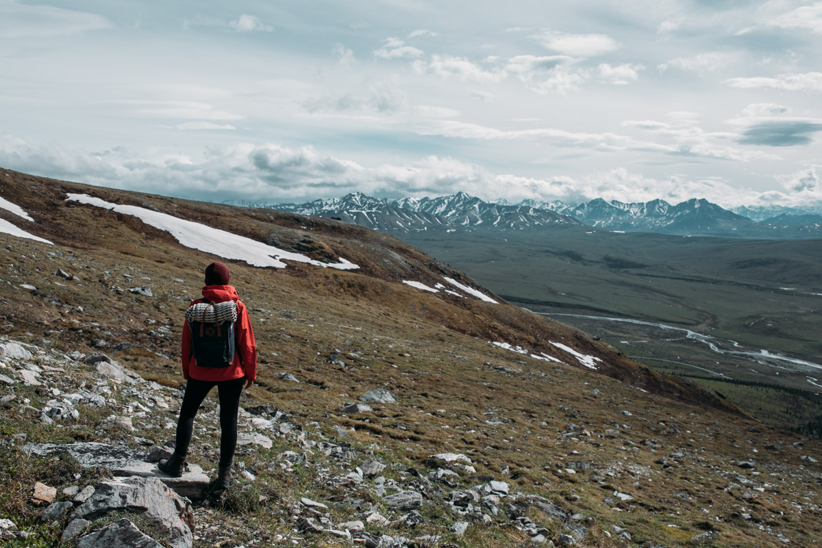 Vandra vandringsleden Savage Alpine trail i Denali national park i Alaska