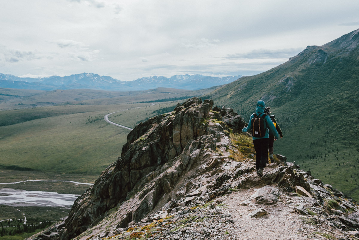 Vandra vandringsleden Savage Alpine trail i Denali national park i Alaska