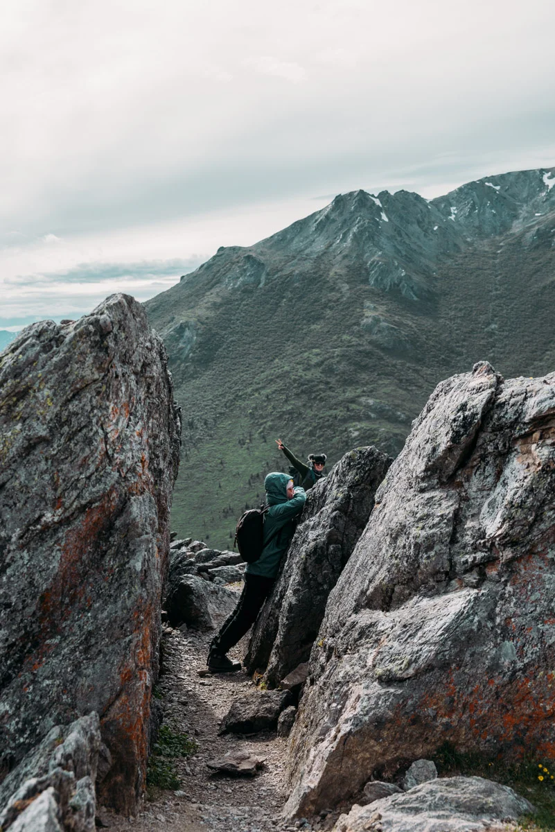 Vandra vandringsleden Savage Alpine trail i Denali national park i Alaska