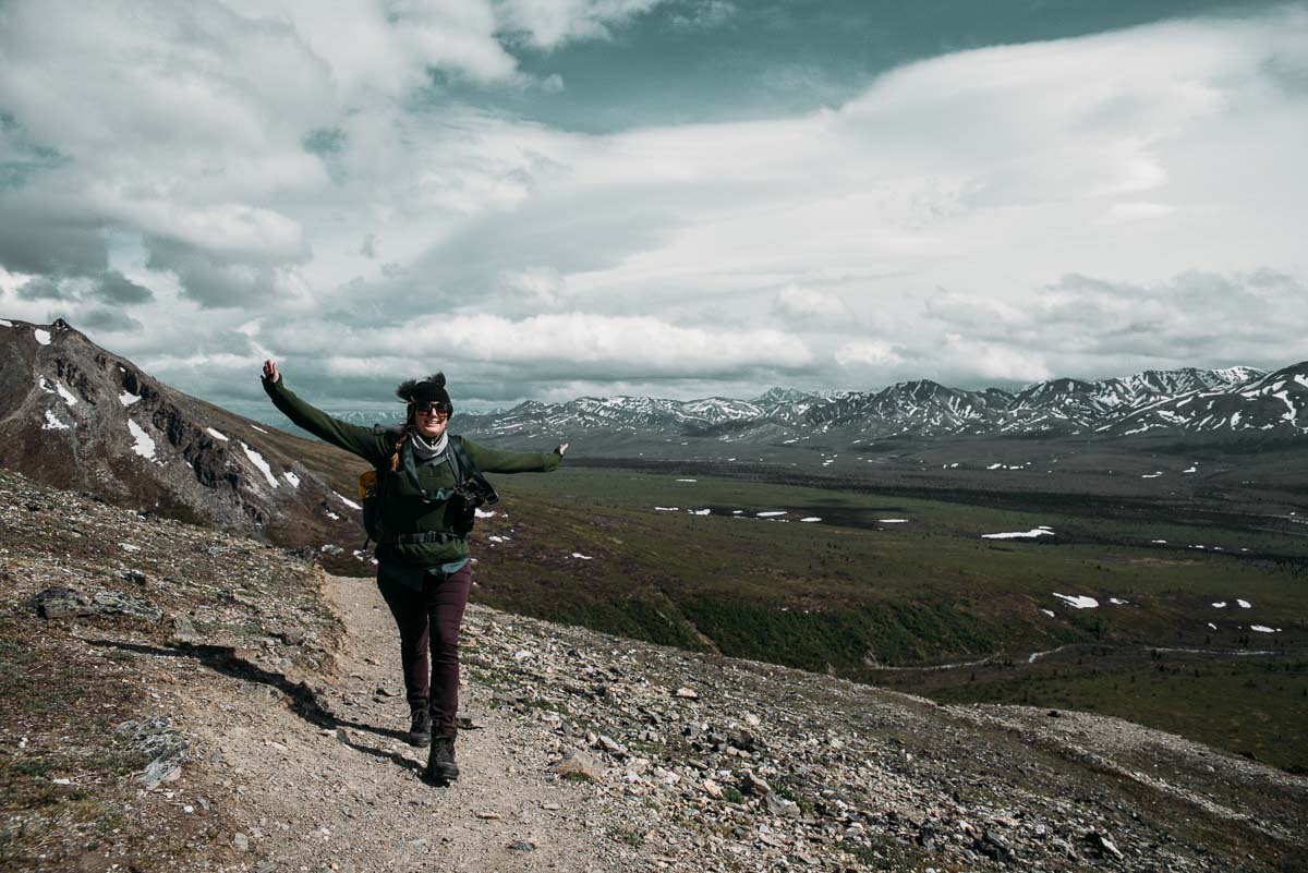 Vandra vandringsleden Savage Alpine trail i Denali national park i Alaska
