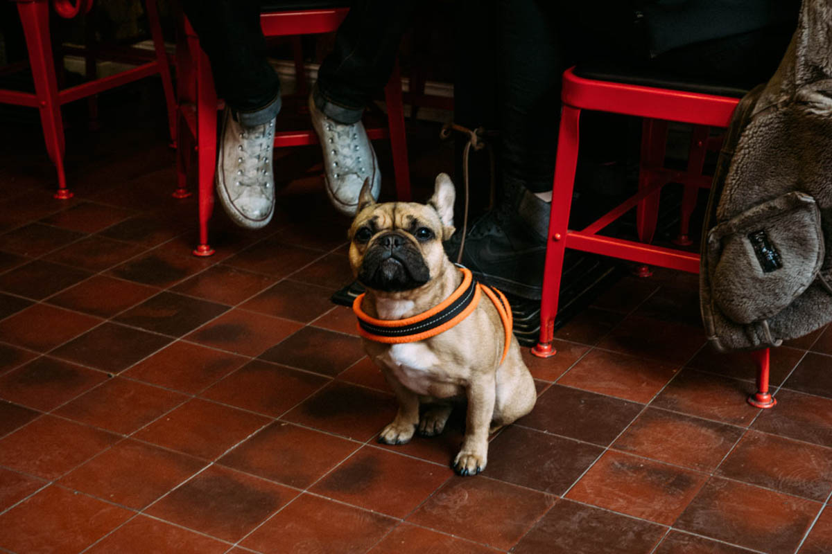 58 Dim Sum restaurangen på Södermalm i Stockholms som har dom mest prisvärda dumplings.