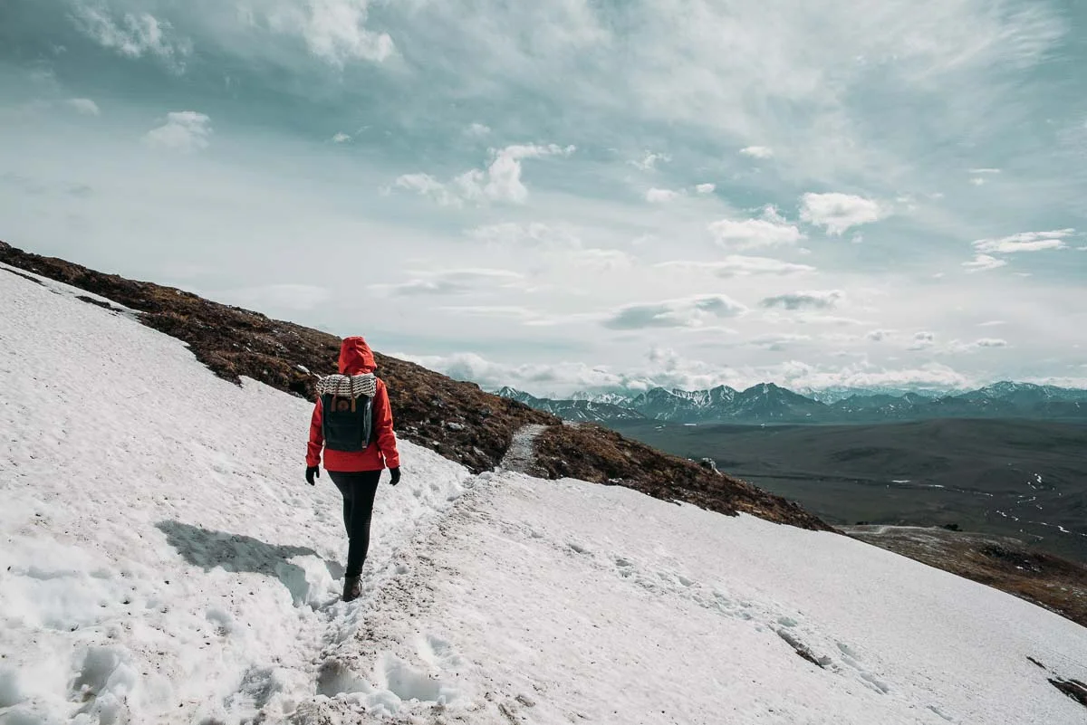 Vandringen Savage Alpine trail i Alaska
