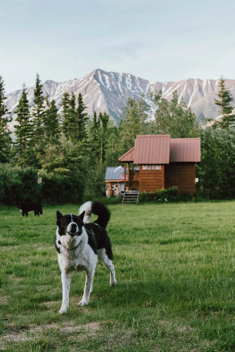 Midsommarafton i Alaska
