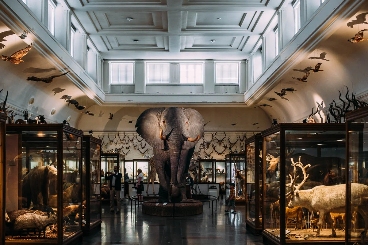 Göteborgs Naturhistoriska Museum
