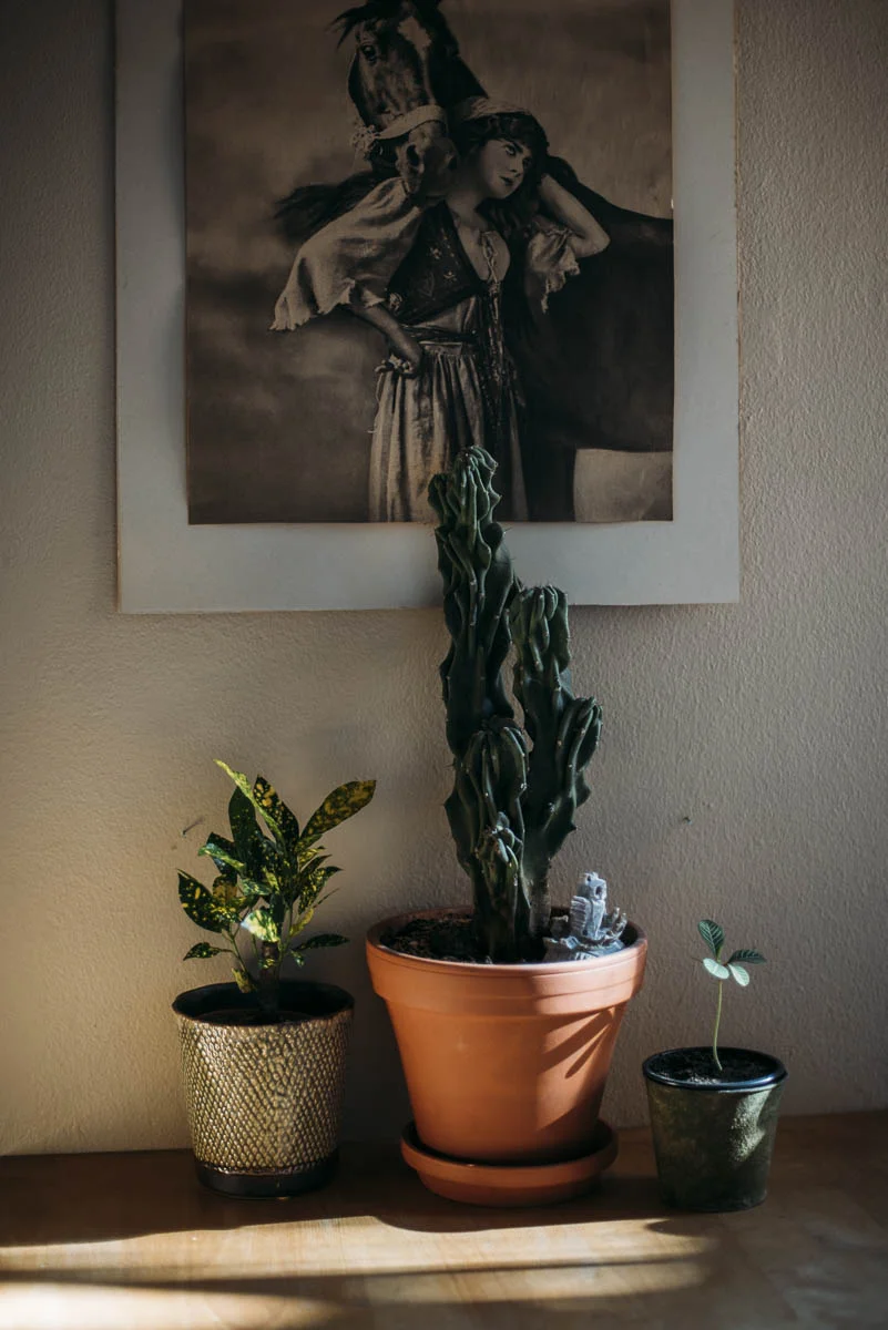 Ljuset, våren och inspirationen