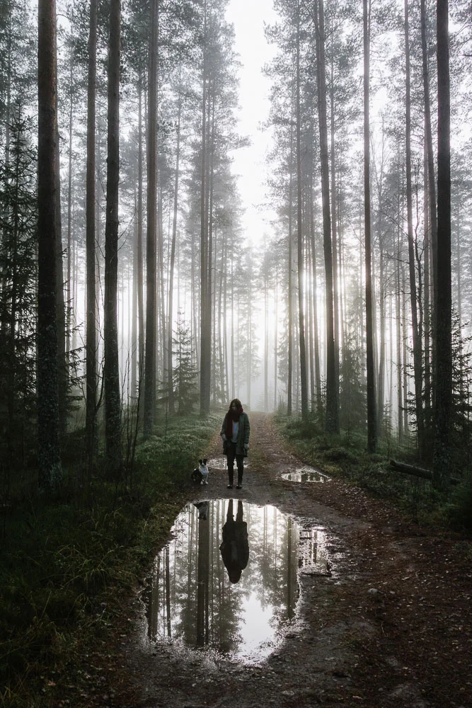 Värmland, vargar och magiskt ljus