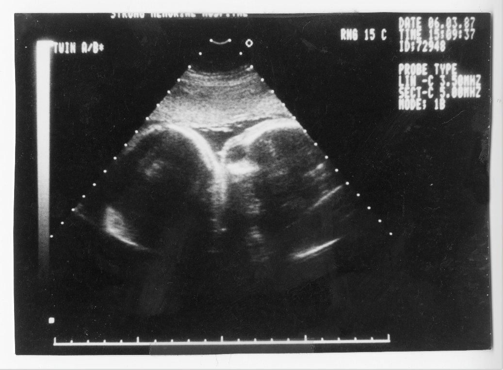 Screen Shot 2020-06-28 at 7.25.46 PM.png