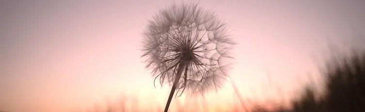 Five tips to support a woman experiencing infertility