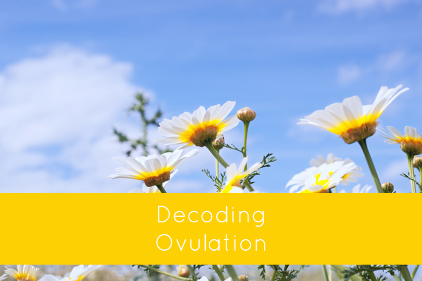 Decoding Ovulation: How to Know If (and When) You're Ovulating