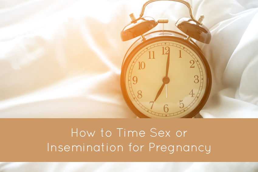 How to Time Sex or Insemination for Pregnancy