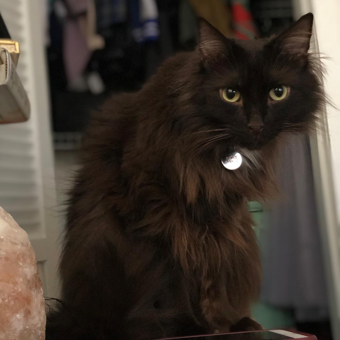 Flitwick 💔 

I don&rsquo;t have the words to express how much you meant to me.