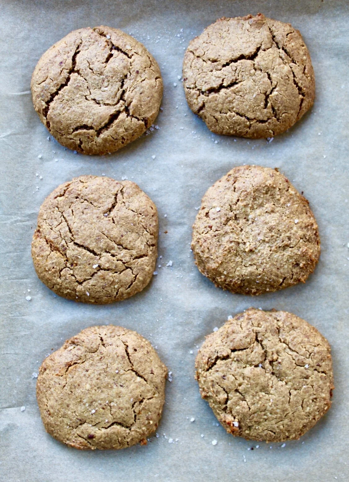 Vegan Peanut Butter Cookies (Sugar-Free, Gluten-Free) — Eleat Sports