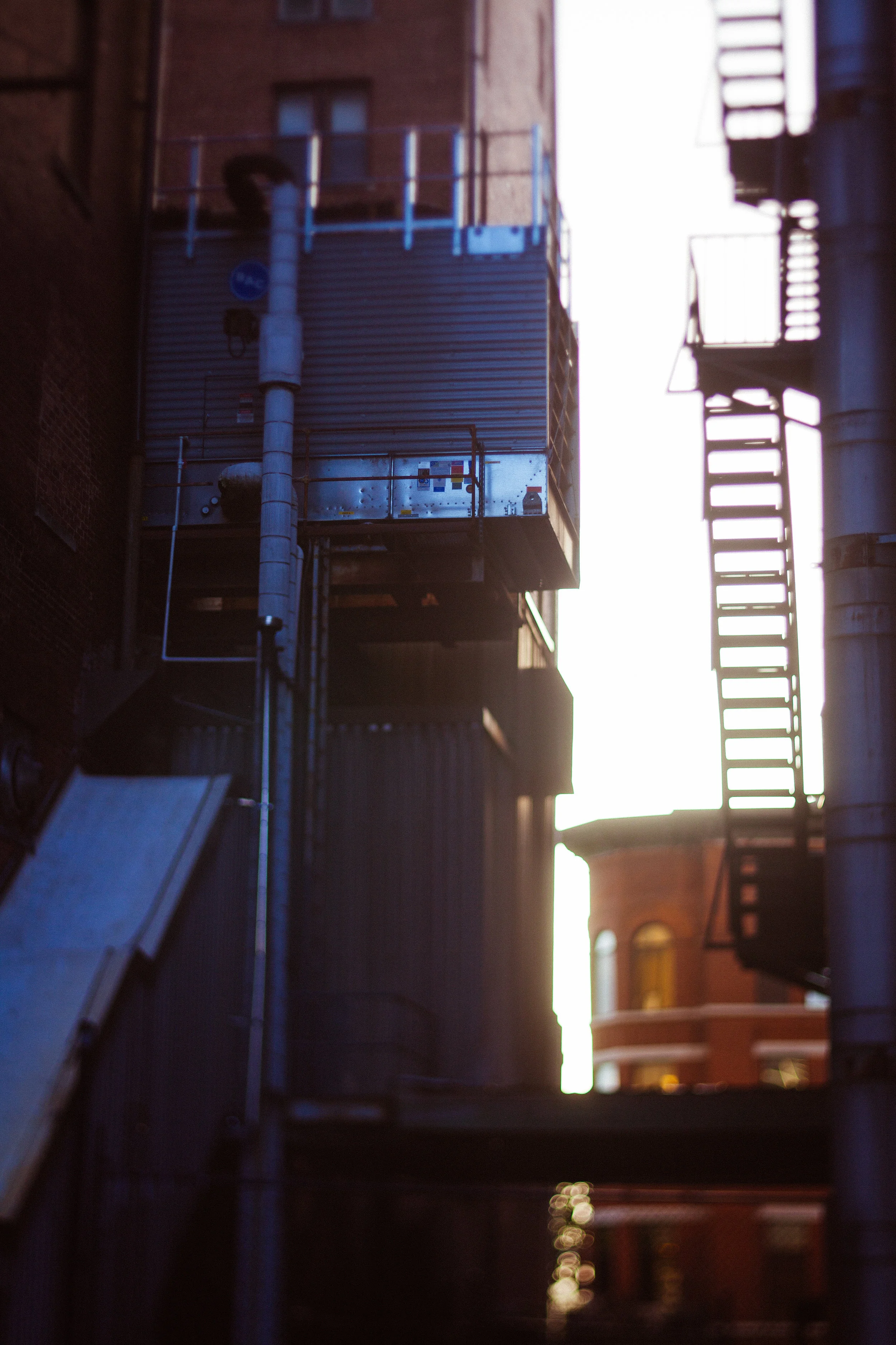 _MG_5514.jpg