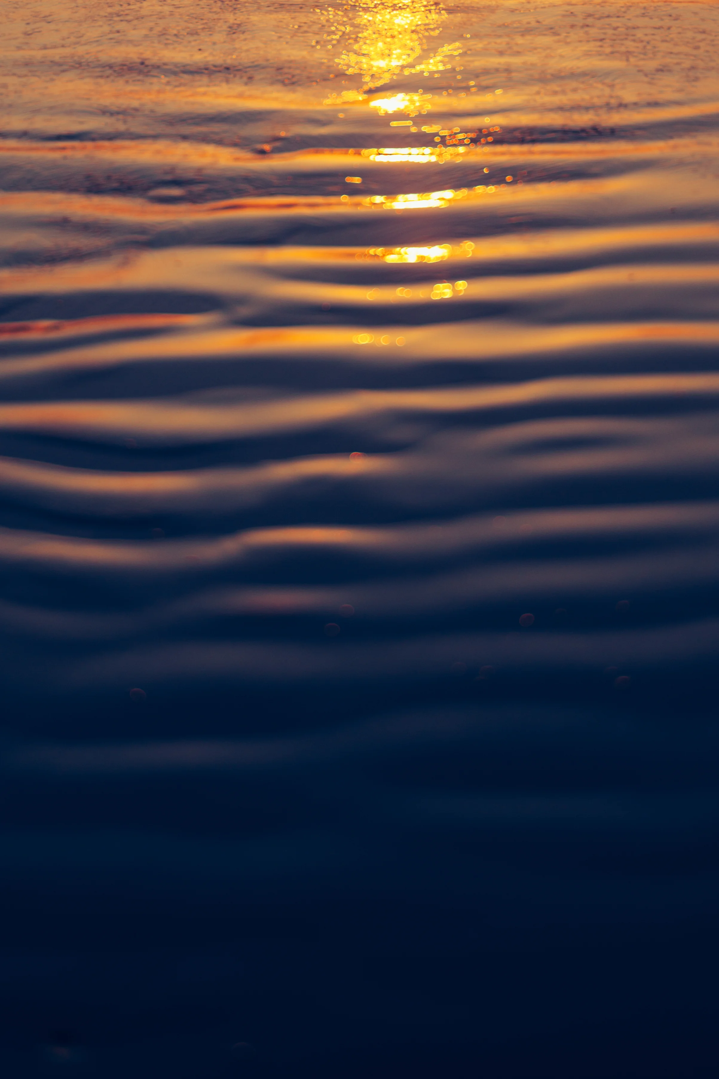 _MG_3913.jpg