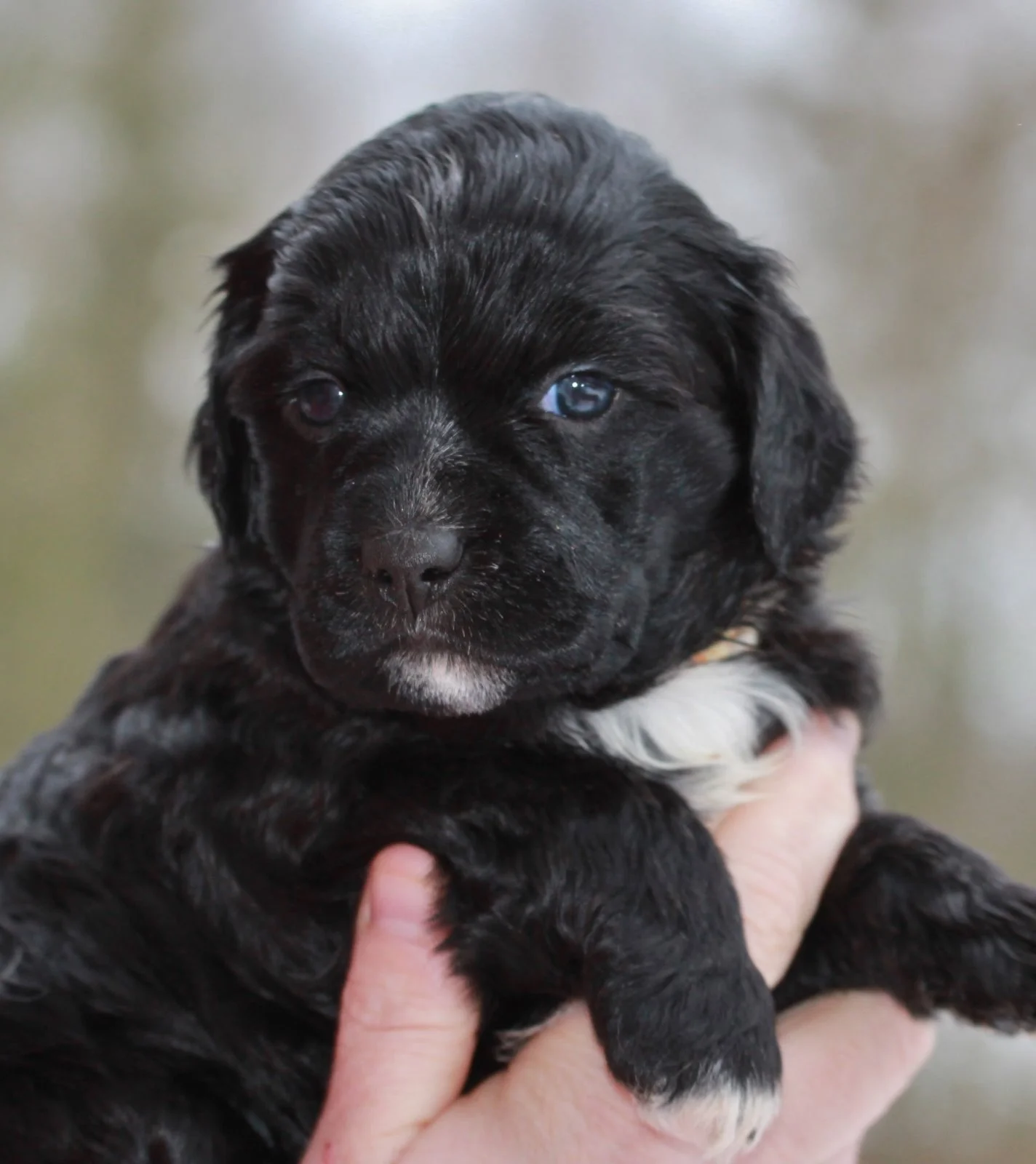4 weeks
