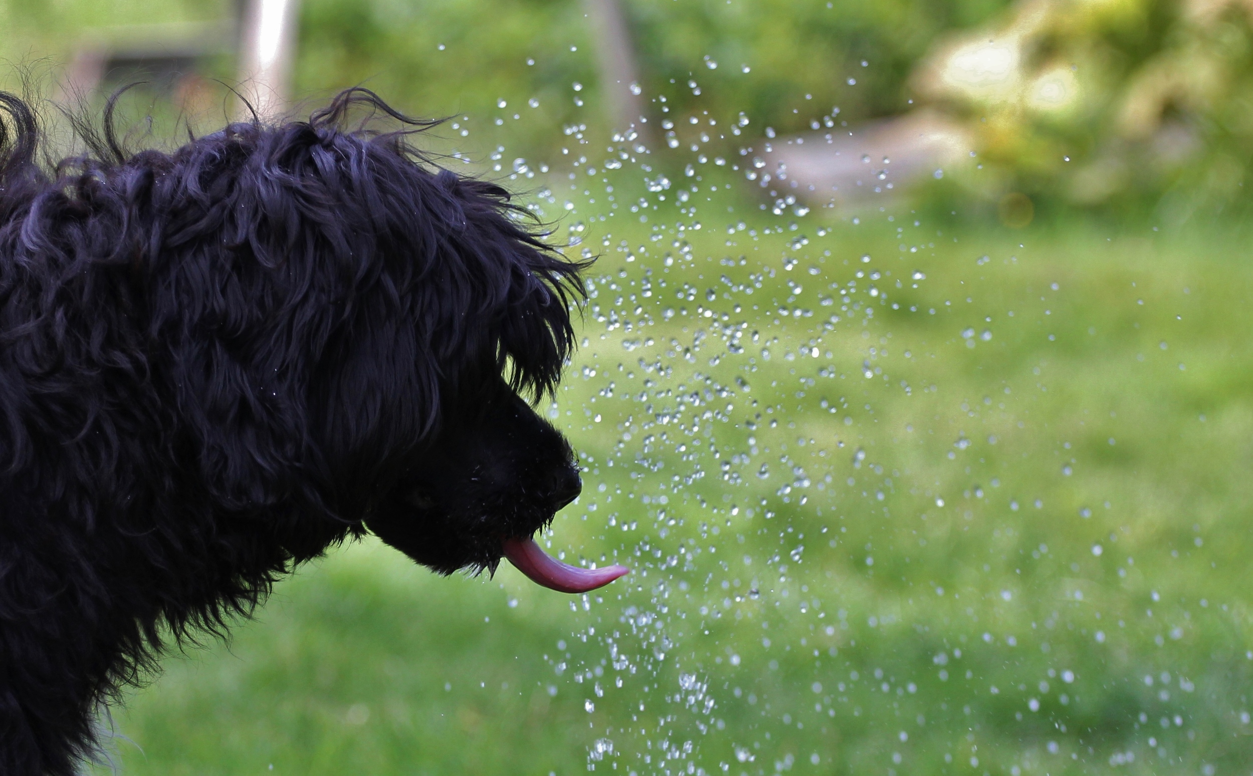 Playing with water