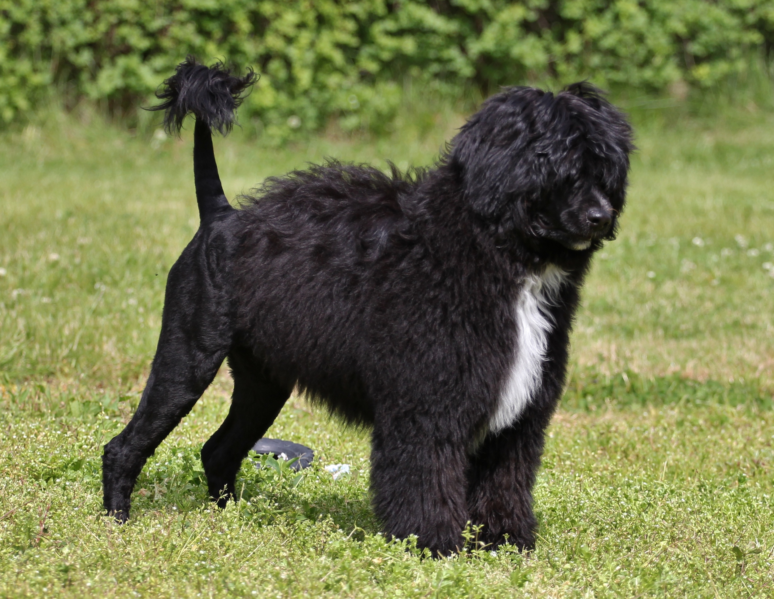 Soon 6 months