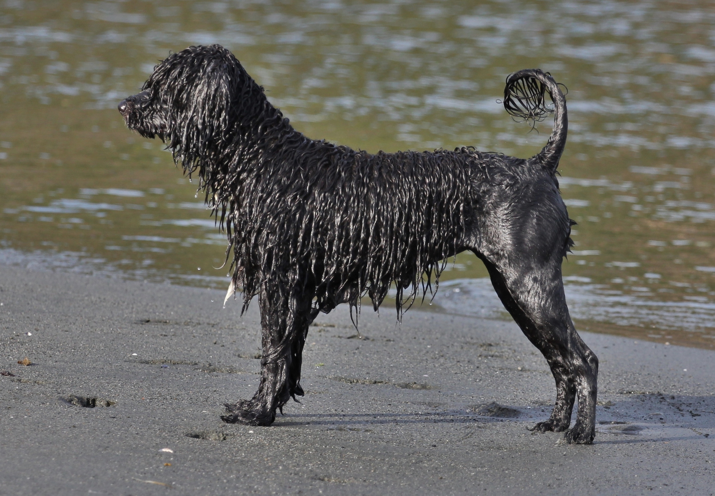 Soon 7 months and love the water