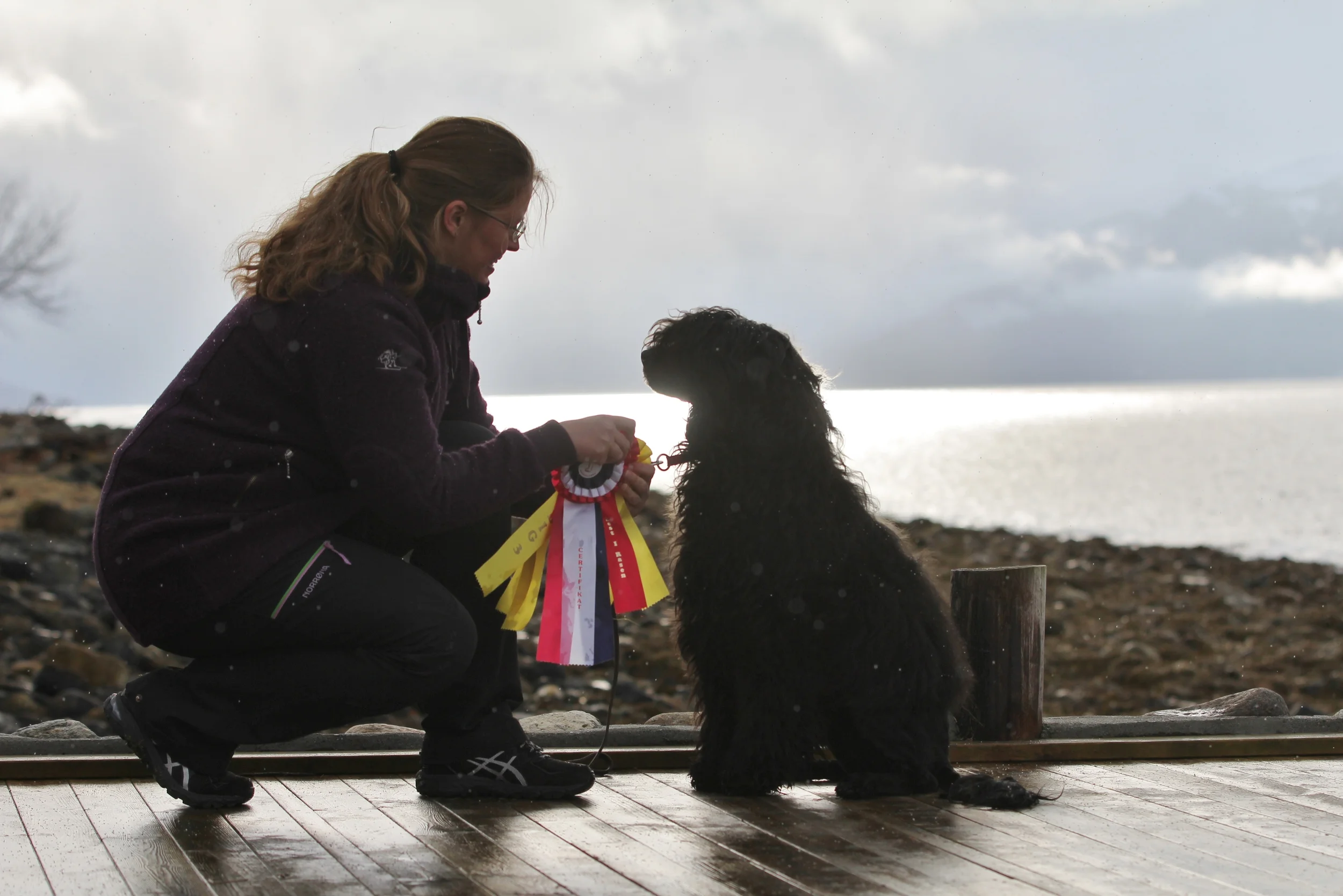 1st CAC only 12 months old