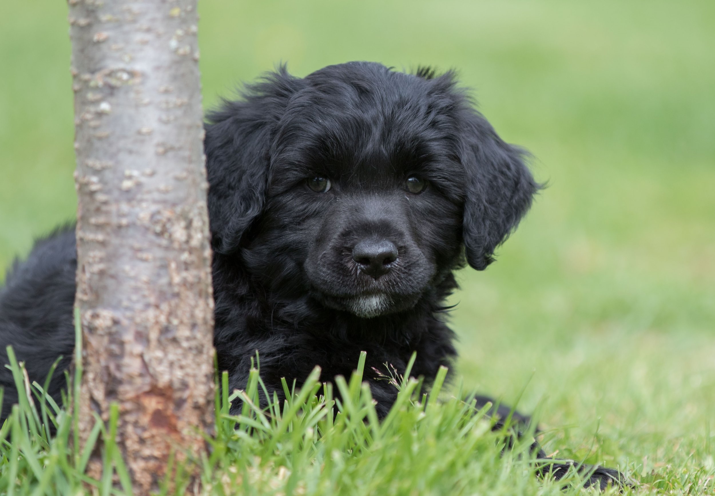 Miss Pink 6 1/2 weeks