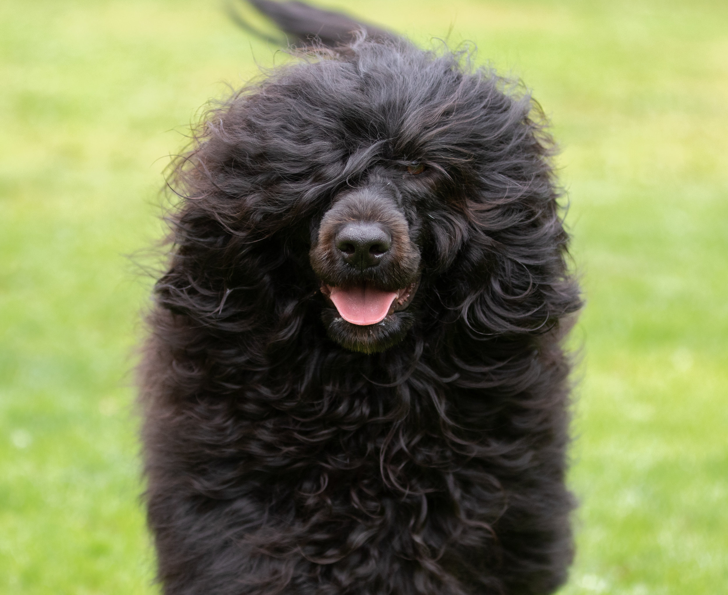 Vera 15 months