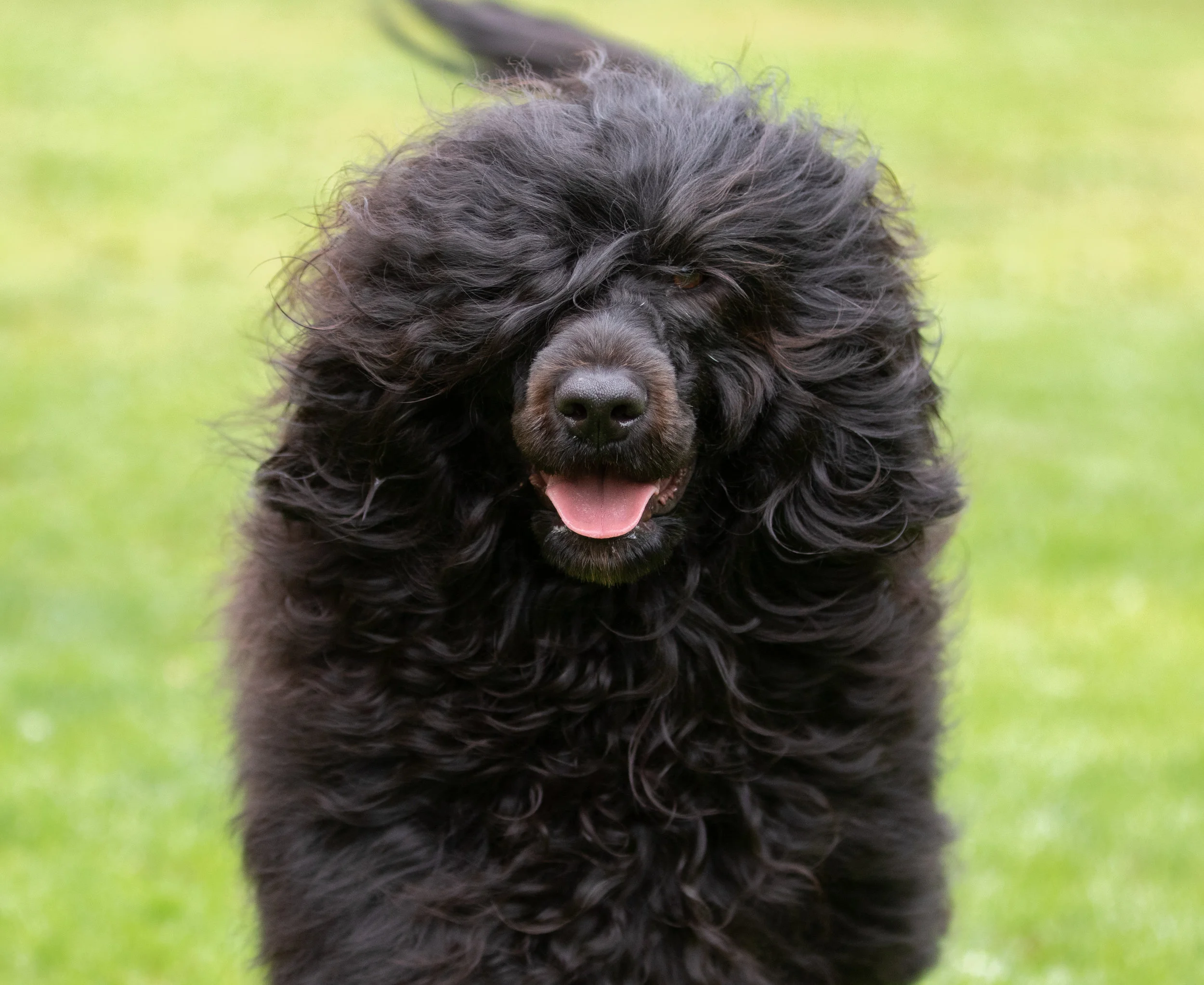 Vera 15 months