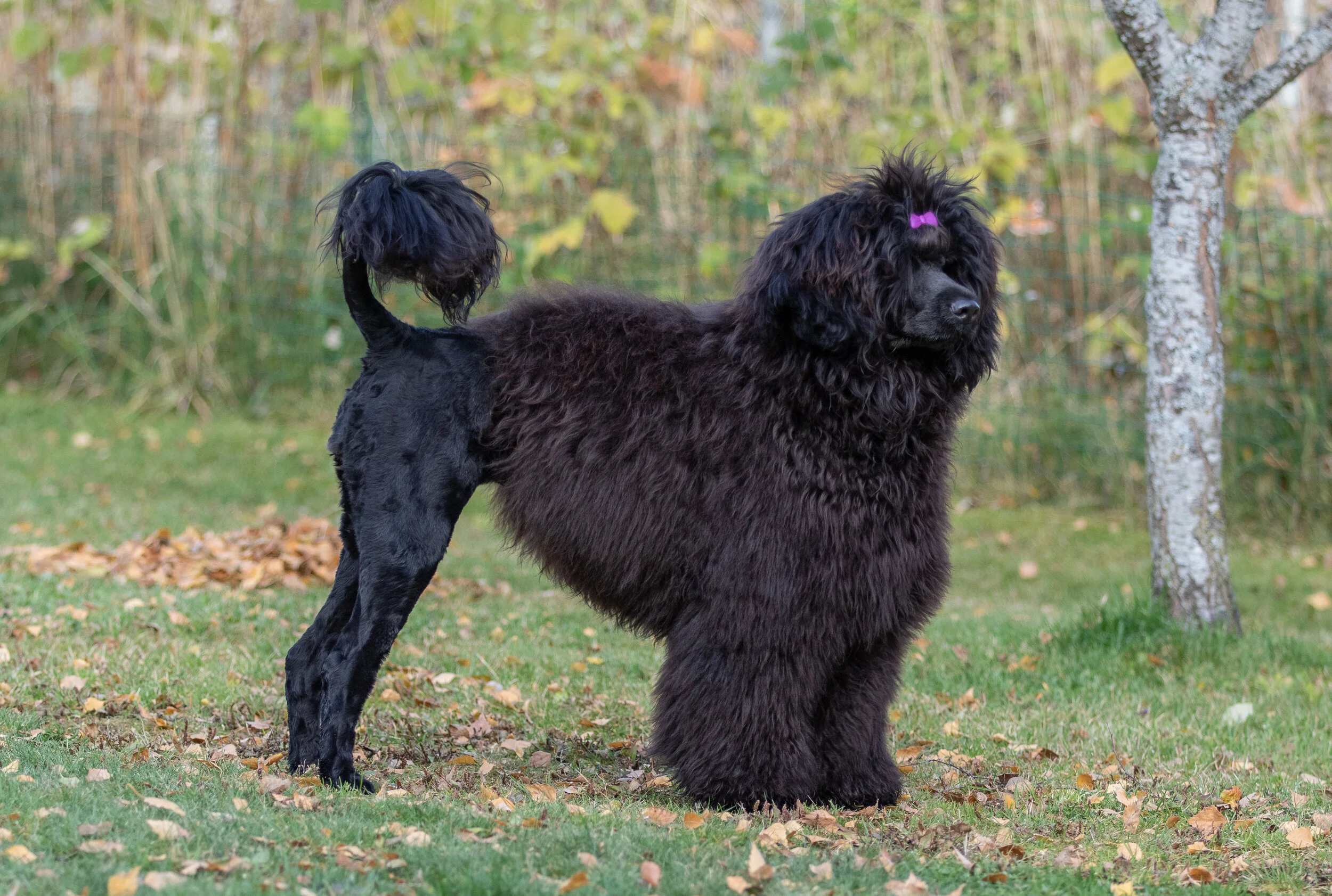 Kaisa 10 months