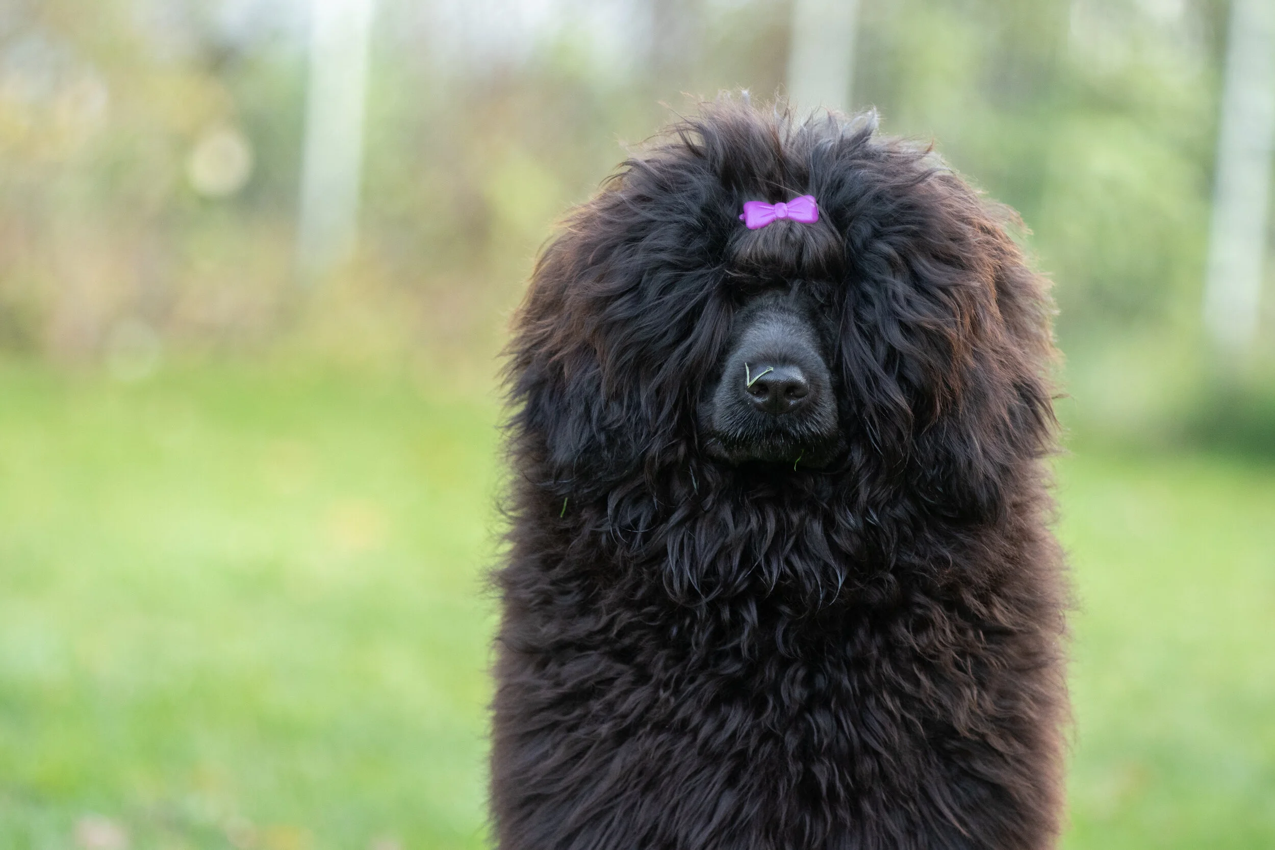 Kaisa 10 months