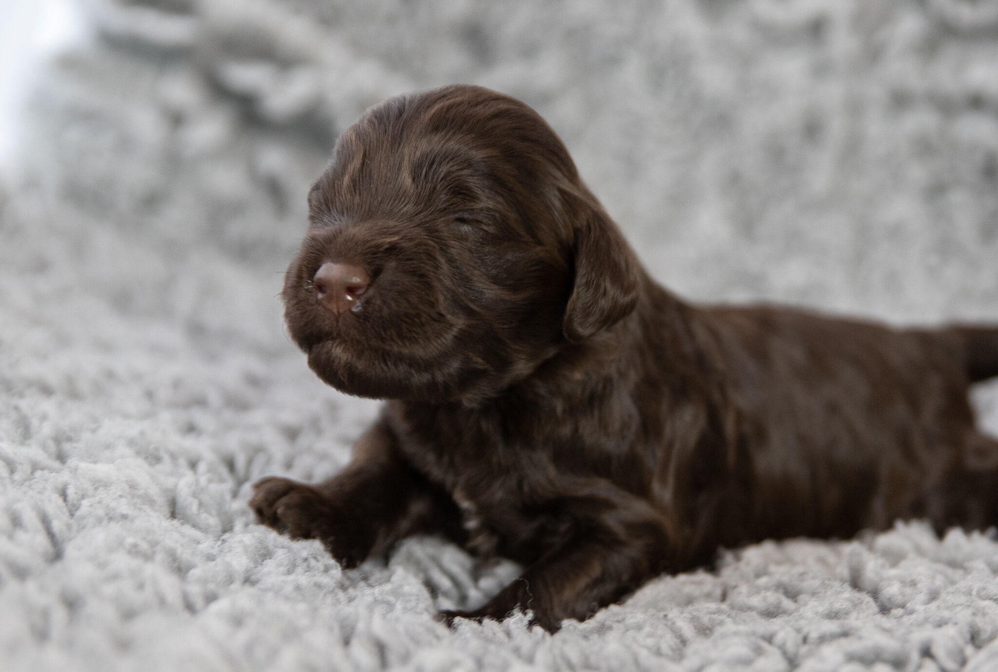 Mr. Brown 2 weeks