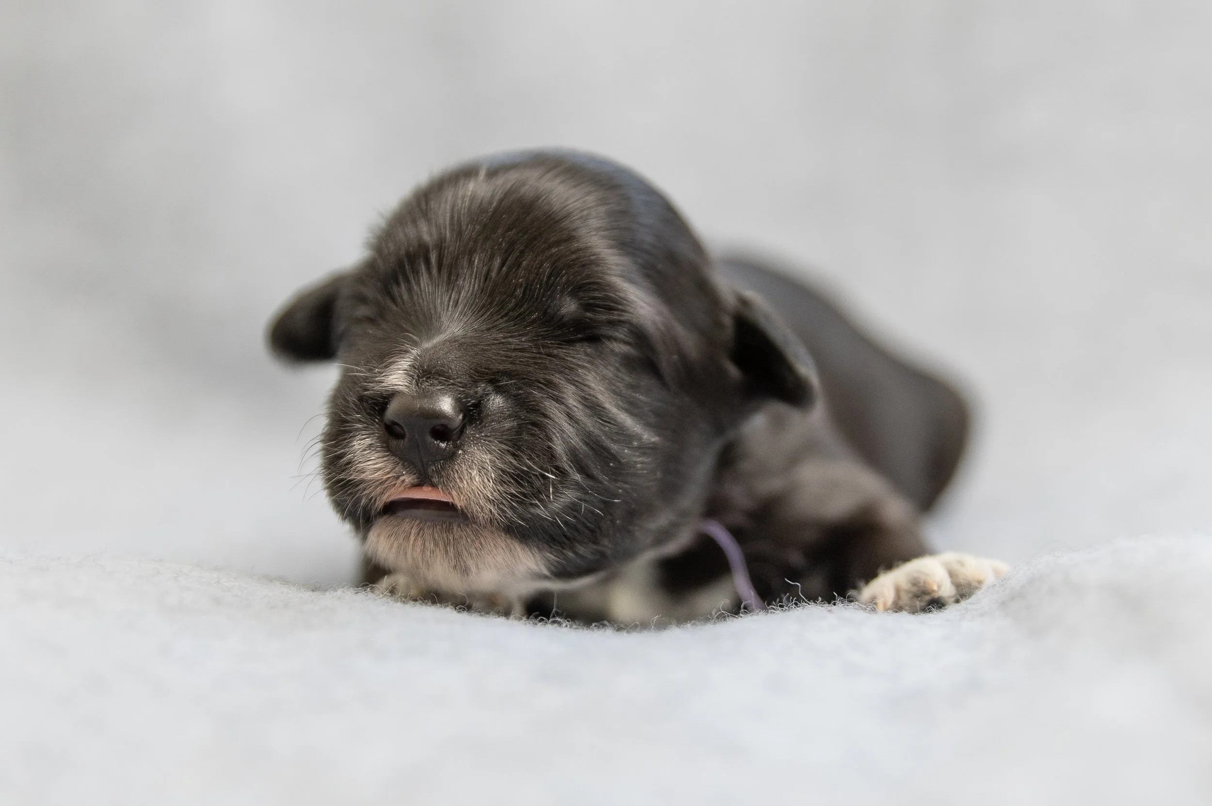 D57A6300.jpg