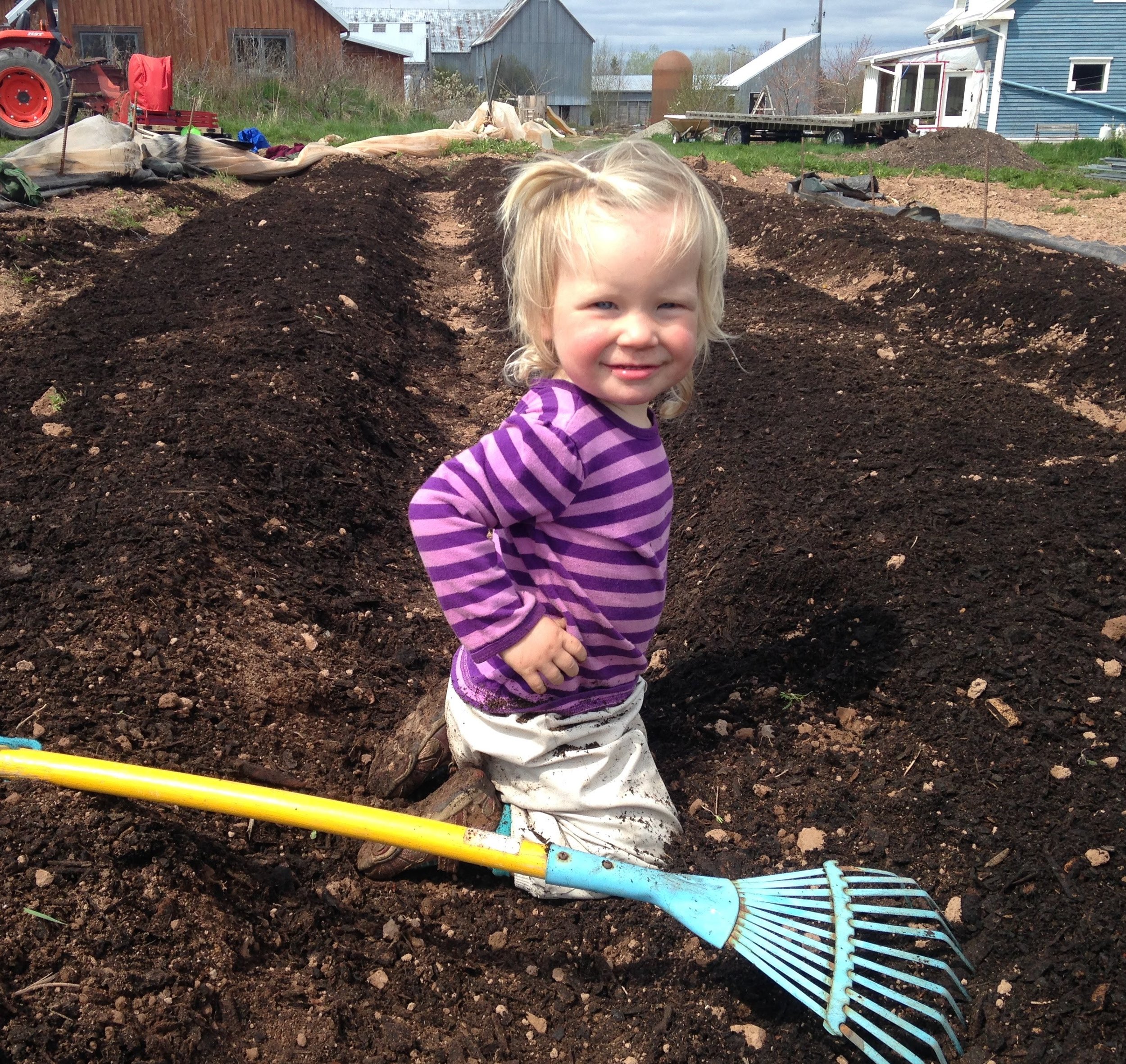 Clara Herbert-Harbottle loves to help with day to day farm activities such as raking, sweeping, and harvesting. She spends her spare time eating cherry tomatoes.