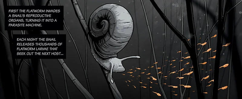 Mindsuckers_frog_panelsnail.jpg